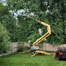 Seasonal Cleanup (Spring/Fall) in Gloucester, MA